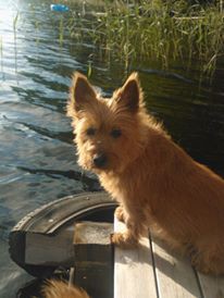 Viivi vanhus nauttii kesästä!