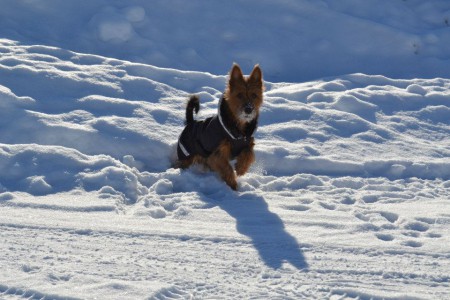 Martta odottaa..